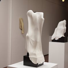 SCULPTURE VEIL NO.5